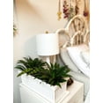thumbnail image 3 of Myers-itml-akro Mils 18in. Chocolate Venetian Flower Box Trays  SVN18000E21 - Pack of 6, 3 of 5