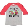 thumbnail image 3 of Inktastic Promoted to Big Sister with Flowers Girls Toddler T-Shirt, 3 of 5