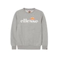 thumbnail image 1 of ellesse Boys Sweat Shirt SUPRIOS - Sudadera Jnr, Sudadera, Cuello redondo, Logotipo Gris 140/146, 1 of 1