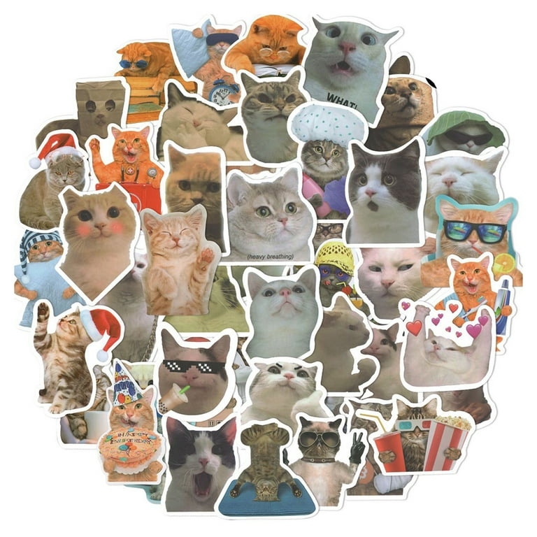 10/50pcs Mix Animal Cat Meme Stickers Graffiti Kids Toy Scrapbook Suitcase  Notebook Laptop Phone Funny Stationary Sticker Decals