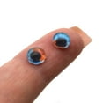 thumbnail image 6 of Heterochromia Dual Blue and Brown Human Glass Eyes, 6 of 11