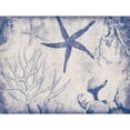 thumbnail image 3 of Grey, Jace 14x12 Black Modern Framed Museum Art Print Titled - Sea Life in Navy 2, 3 of 5