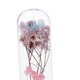 thumbnail image 3 of Florero Claro De La Preservación De cubierta De Cristal Con De De Pino Con Secadas Para La Decoración De De País Azul claro + rosa BLESIY Florero de preservación de flores, 3 of 8