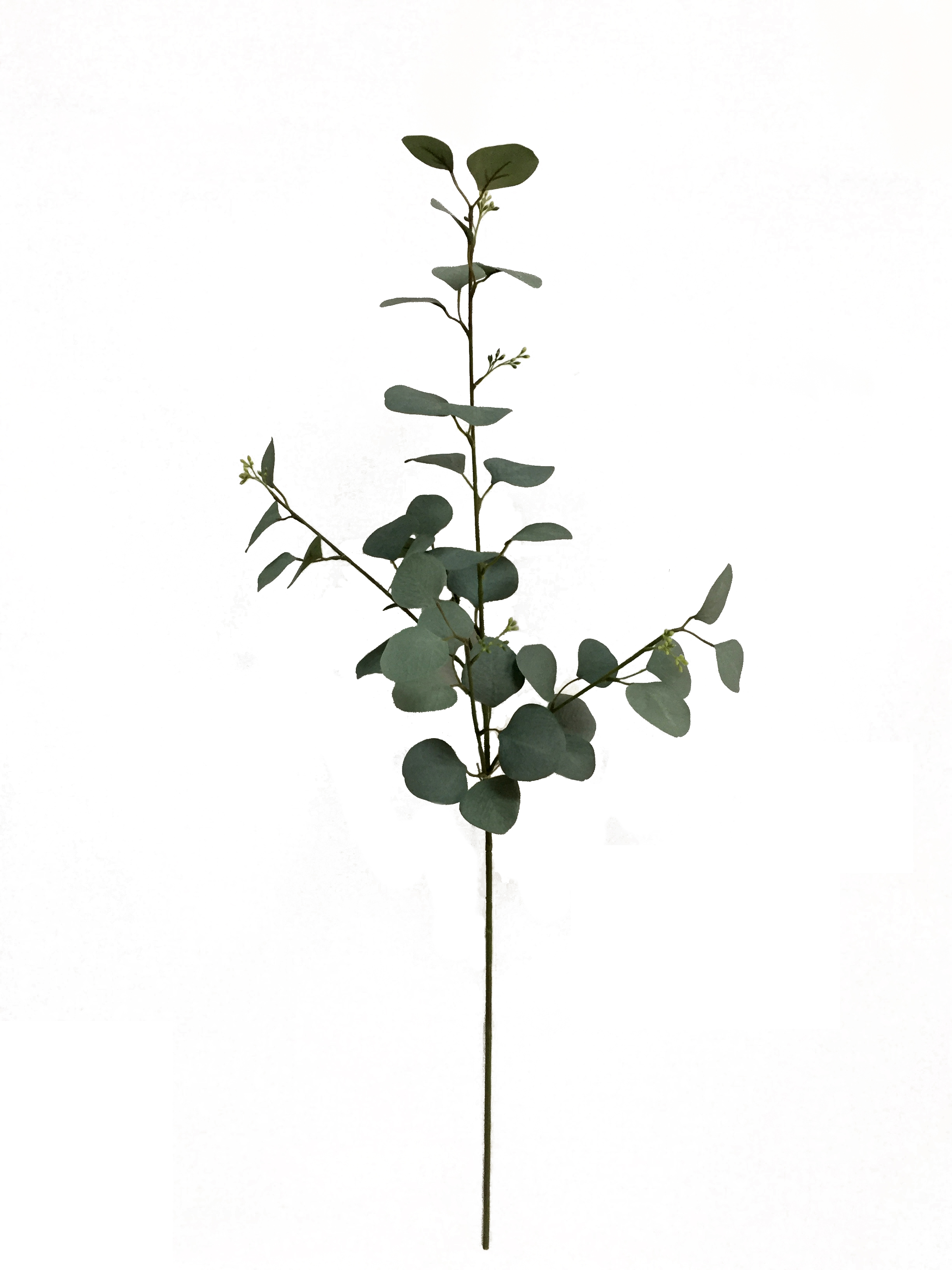 Mainstays Artificial Green Round Leaf Eucalyptus Stem, 34in Tall Floral Picks - image 5 of 5