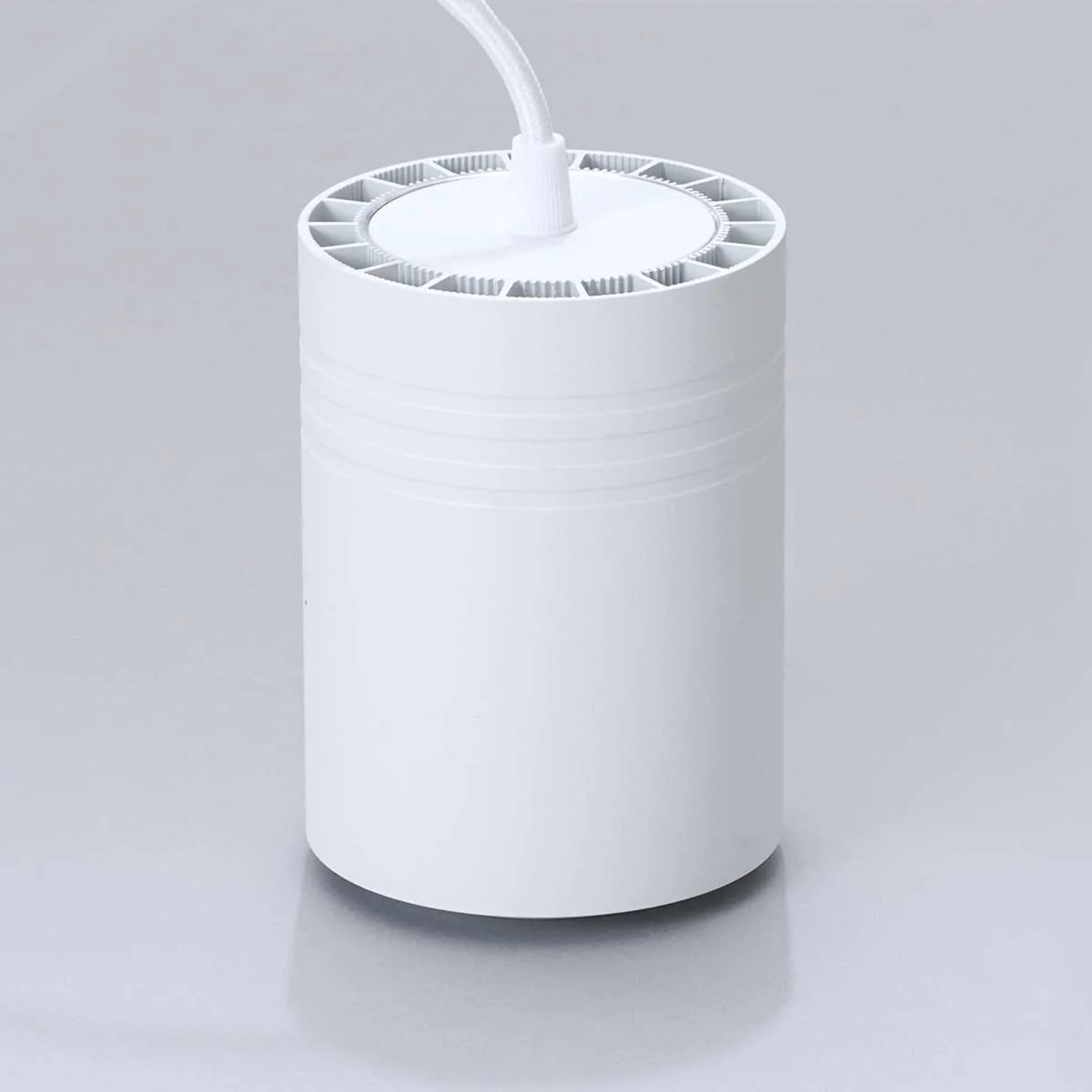 Soltech Solutions Hardwired Aspect Pendant Grow Light With Wall Timer