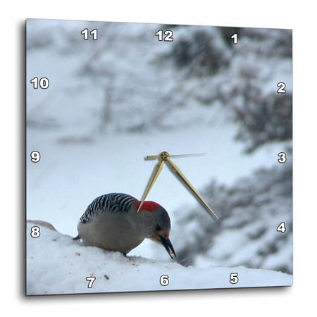 3drose, Red Headed Woodpecker, 10x10 Wall Clock