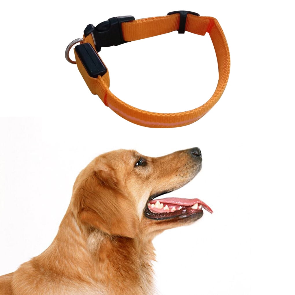LED Pet Dog Collar Flashing Glow Dog Leash Neck neck rope LED dog Belt Collars Pet Fluorescent Cat Neck Belt Rope Cord