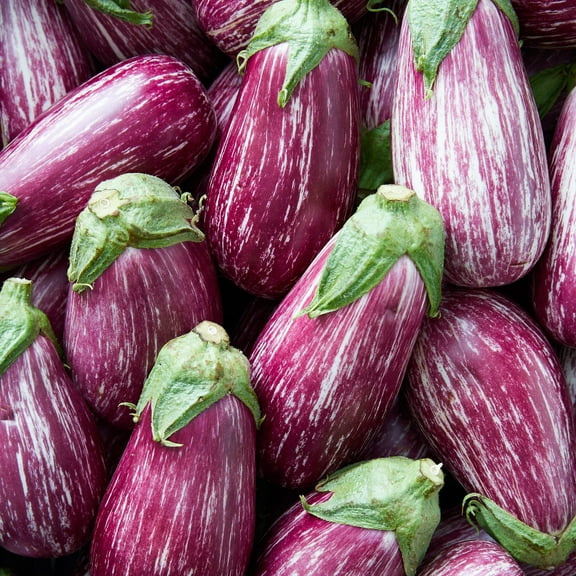 30 Seeds Pandora STRIPED ROSE EGGPLANT Solanum Melongena White Fruit Vegetable Seeds