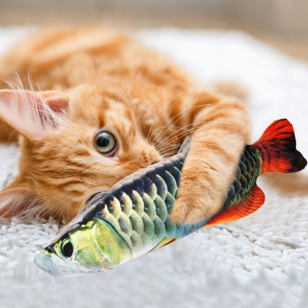 pet cat toy