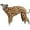 Leopard, variant on HQREA Winter Dog Coats Fashion Thick Warm Fluffy Fleece Onesie Outfit for Italian Greyhound