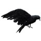 thumbnail image 5 of Cuervos con Plumas Negras, Pájaros, Cuervos Artificiales, Accesorios, Decoración de de Halloween, 5 of 9