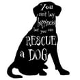thumbnail image 2 of LightBoxJournal 12x12 Black Ornate Wood Framed with Double Matting Museum Art Print Titled - Rescue Dog 6, 2 of 4