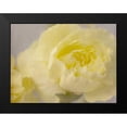 thumbnail image 2 of Stalus, Judy 14x12 Black Modern Framed Museum Art Print Titled - Rose Whisper III, 2 of 5