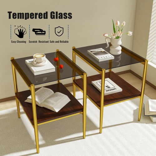 MOONMISS 2 Pack Rectangle End Table, Tempered Glass Top Side Table with MDF Frame, Modern Transparent Glass Accent Table for Living Room, Bedroom, Home Decor, Brown/Gold