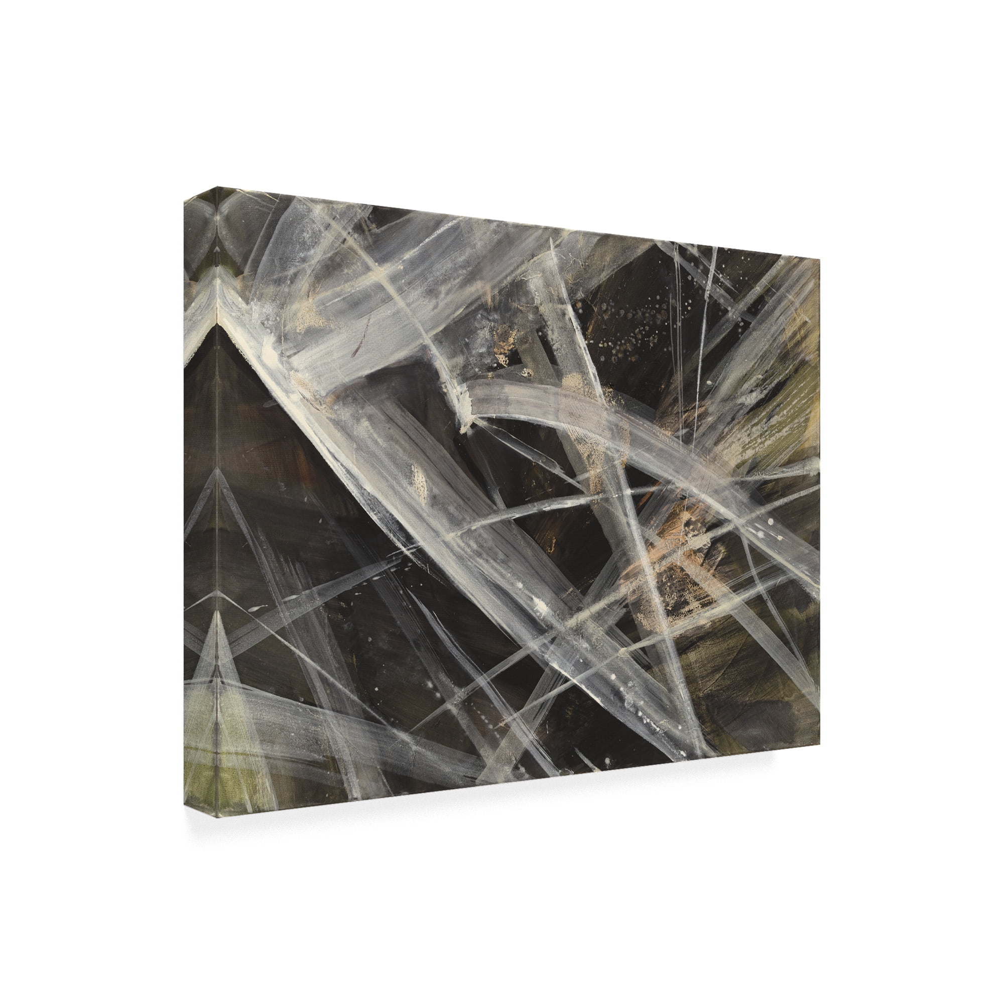 Trademark Fine Art 'Glacier Iv' Canvas Art by Albena Hristova