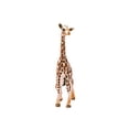 thumbnail image 1 of Schleich Wild Life, Animal Figurine, Animal Toys para niños y niñas de 3 a 8 años, jirafa Schleich Schleich, 1 of 2