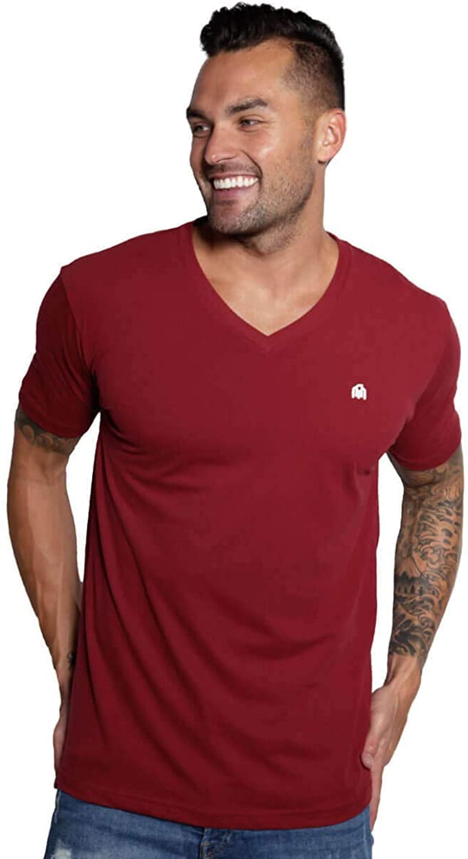 INTO THE AM Men's V Neck Tee Shirts Ultra Soft Modern Fitted Plain T-Shirts 