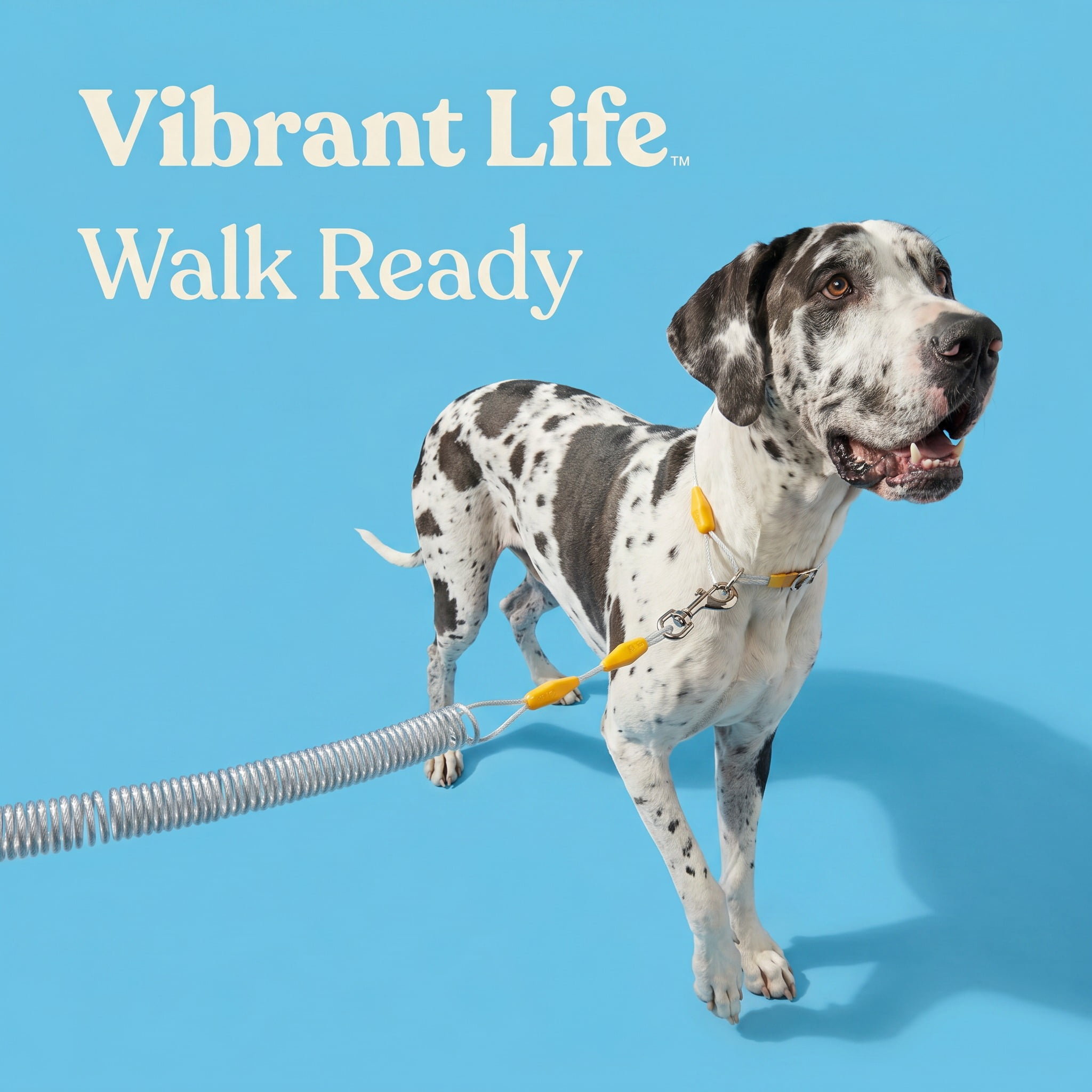 Vibrant Life Reflective Vinyl-Covered Tie-Out Cable for Dogs, XL, 40'