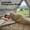 Green, variant on Nextay Double Sleeping Bag for Adults with Pillows, 2-in-1 Portable 3-Season Camping Bag with Compression Sack for Backpacking, Hiking, Outdoor Adventure, Black