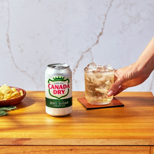 2X - Canada Dry Zero Sugar Ginger Ale Soda Mini Cans 10 pk / 7.5 fl oz