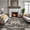 Black, variant on General Washable 9x12 Area Rugs - Large Rugs for Living Room Stain Resistant Carpet Vintage Rugs for Bedroom with Non Slip Backing Home Decor Floor Decoration Mat (9x12 Grey)