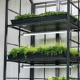 thumbnail image 2 of Panacea Adjustable Shelf Plant Stand/Patio Greenhouse with Grow Lights, 2 of 11