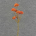 thumbnail image 1 of Bag Of 6, 12.5 Inch Succulent Pick For Seasonal & Home Decor - Orange, 1 of 5