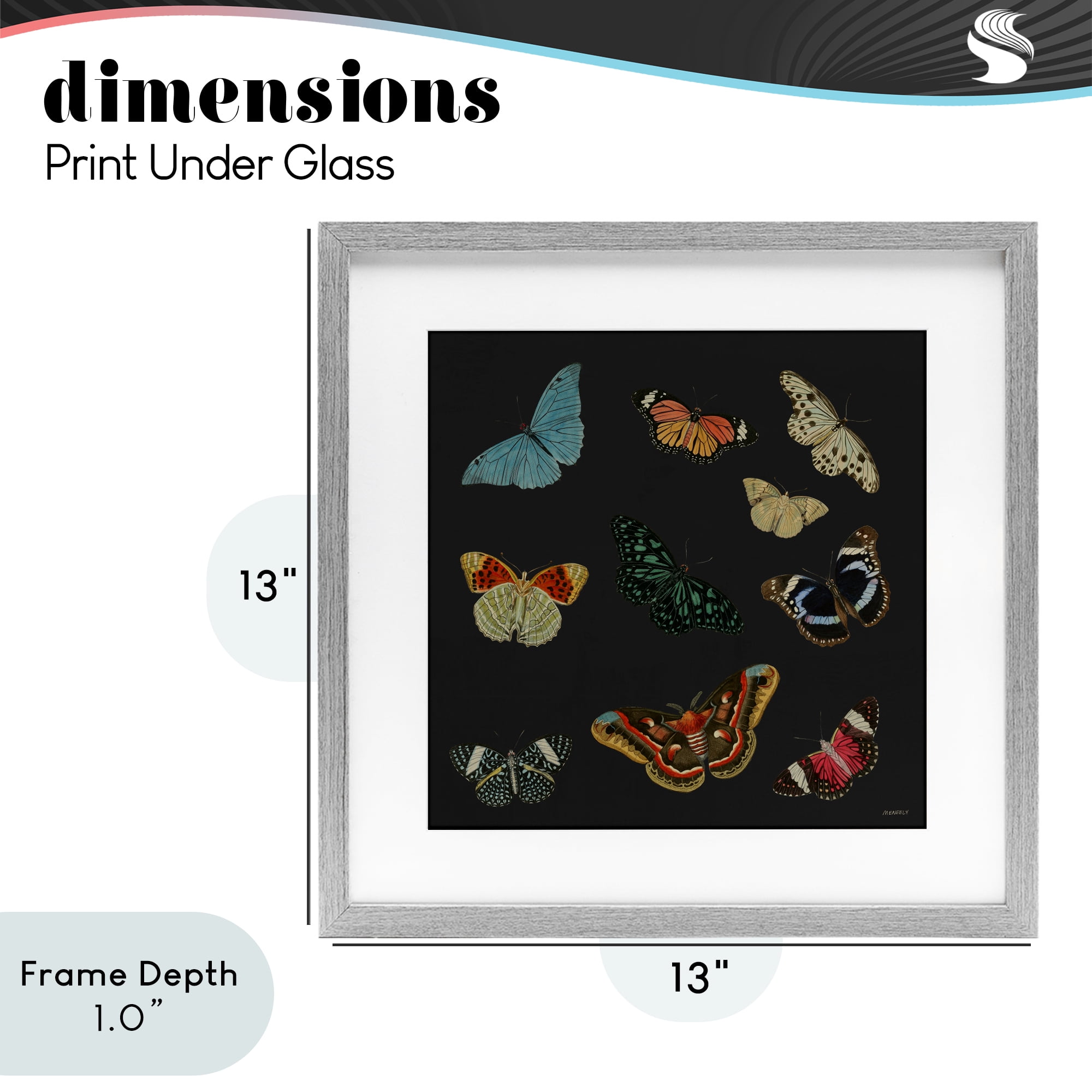 Stupell Industries Insects Group on Black Gray Framed Print Under Glass, design by Dan Meneely