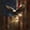 Brown Gold, variant on Manfei Bald Eagle Us Flag Twin Sheets,Patriotic Holiday Firework Bedding,Blue Brown Green,3 Pieces,1 Fitted Sheet and 1 Pillowcase