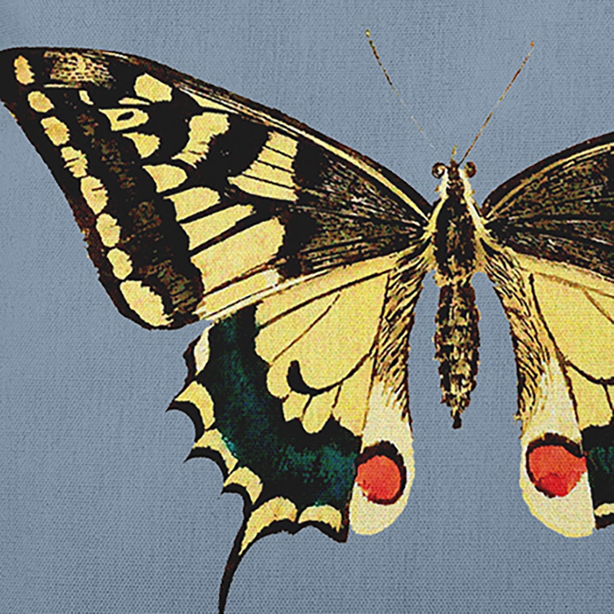 14" x 20" Simply Daisy Rare Swallowtail Indoor/Outdoor Pillow, Dusty Smoke Blue Qty 1