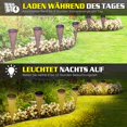 thumbnail image 3 of Paquete de 4 luces solares para jardín al aire libre, luces solares para jardín, color blanco cálido con luces solares impermeables IP65, decoración de jardín al aire libre, luces solares para exteriores, para césped, patio, camino, balcón Zhivalor WXOTTO-SYJ-0792, 3 of 5