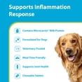 thumbnail image 3 of PRN Pharmacal Duralactin Joint Health Supplement Chews for Dog and puppies, Vanilla Flavor, 60 Count, 3 of 8