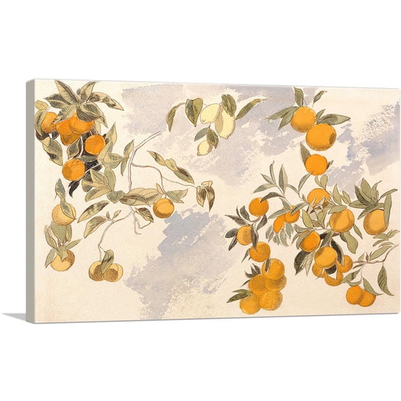 ARTCANVAS Orange Trees 1863 Canvas Art Print by Edward Lear - Size: 60" x 40" (0.75" Deep) (3-Piece)