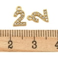thumbnail image 3 of 1 colgante de acero inoxidable 304 con números de diamantes de imitación para mujer, ideal como regalo de cumpleaños, festival, joyería personalizada, 9 x 6 x 1 mm, agujero: 1 mm., 3 of 3