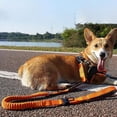 thumbnail image 4 of Anti-Pull Large Dog Leash (1.65M)【Safety Belt】Shock Absorption + Reflective Stitching + Double Handle（Black）, 4 of 5