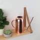 thumbnail image 4 of Regadera de acero inoxidable de 50 oz para interiores y exteriores, para plantas largas Bronce, 4 of 9