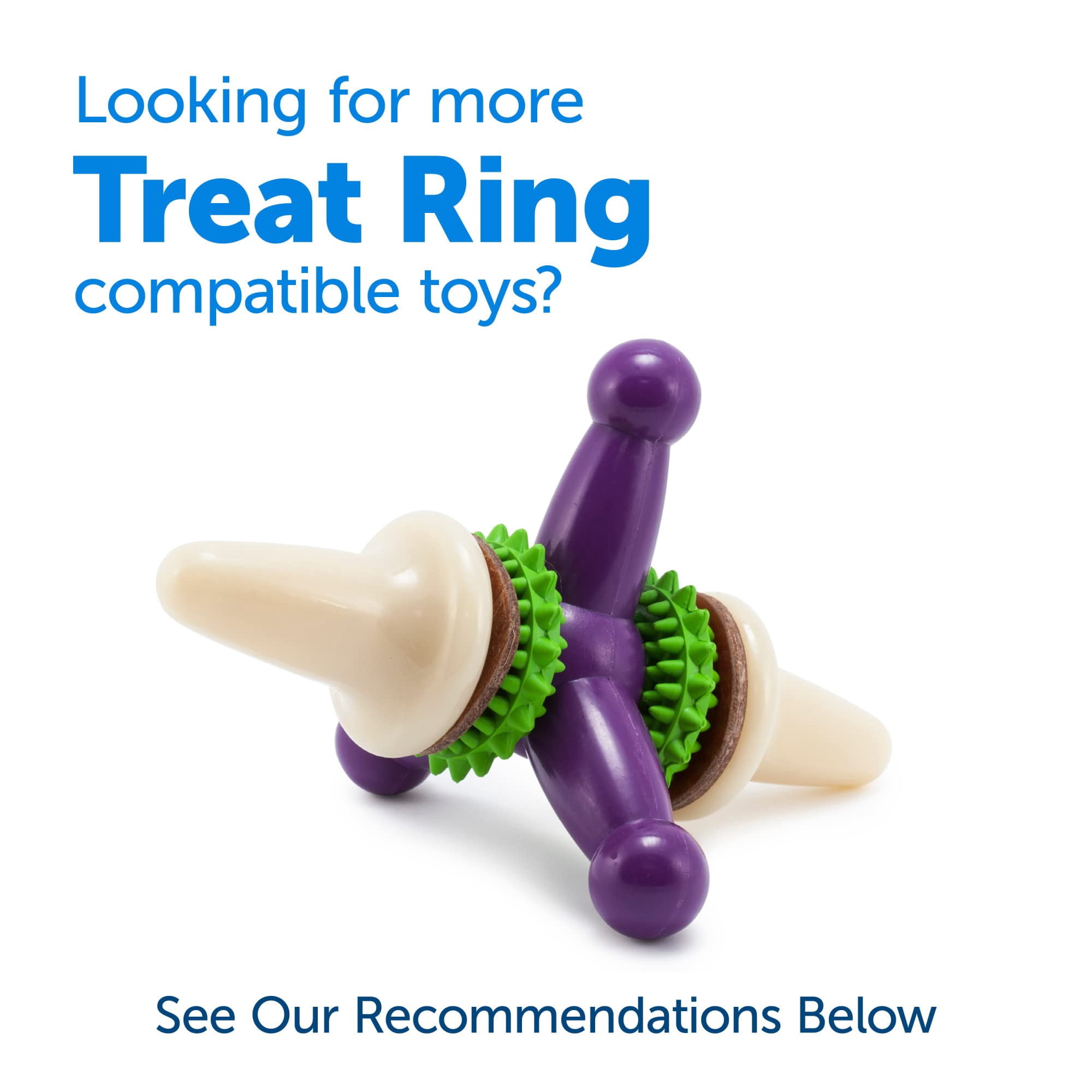 PetSafe Dog Treat Ring Variety Pack for Busy Buddy Toys, 2 Tasty Flavors, 60 Refills, M