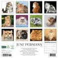 thumbnail image 2 of Just Persians 2025 12 X 12 Wall Calendar, (Paperback), 2 of 5