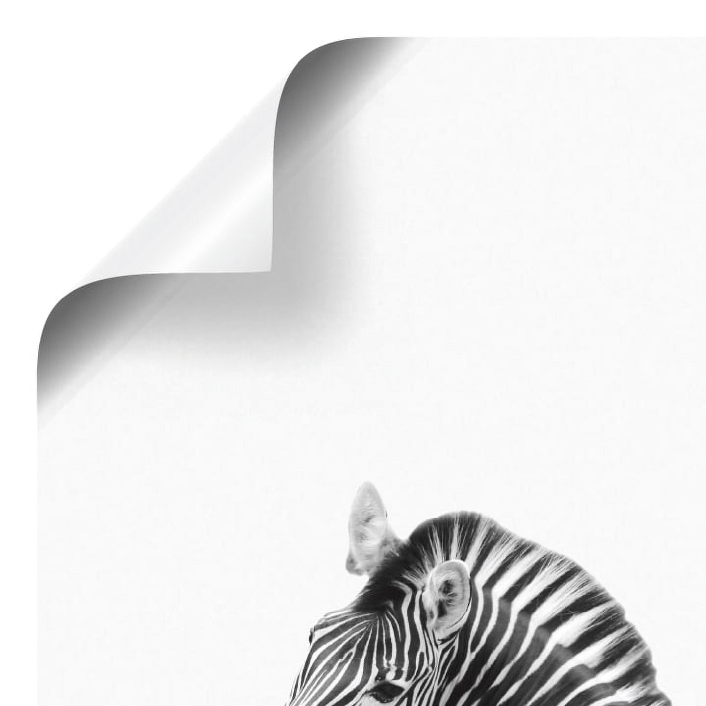 (2 pack) DesignOvation Baby Animal in Tub Unframed Art Print 8” x 10” Set of 3 by The Creative Bunch Studio