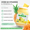 thumbnail image 2 of Irish Sea Moss Gel (Pineapple) - LARGE 16 OZ - Real Fruit - Wildcrafted Sea Moss, 2 of 7