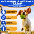 thumbnail image 3 of Oimmal Taurine Drops for Dogs, 2 fl oz (60 ml), Liquid Amino Acid Supplement, Helps Support Heart & Muscle Function, Daily Vitality for All Breeds, Natural Flavor, 3 of 10