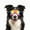 Pink, variant on NAMSAN Dog Goggles for German Shepherd/ Golden retriever Eye Protection with Adjustable Straps