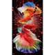 thumbnail image 1 of (ZQ168) Resina Con Doble Serie Koi Diamante 30x60CM, 1 of 9