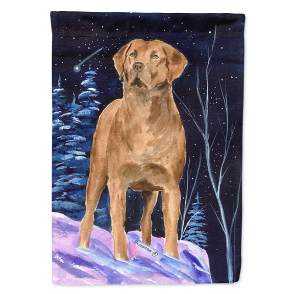 Carolines Treasures SS8355-FLAG-PARENT Starry Night Chesapeake Bay Retriever Flag  multicolor