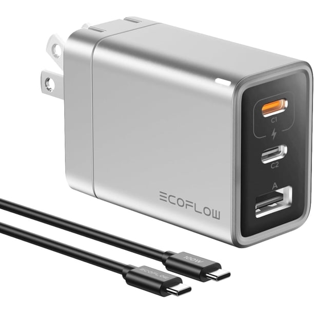 EF ECOFLOW Cargador USB C, Bloque de Carga GAN Rapid de 65 W Tipo C con Enchufe Plegable, Cargador R