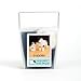 thumbnail image 2 of WoolPets Puppies Wool Needle Felting Craft Kit. Made in the USA., 2 of 4