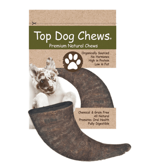 Water Buffalo Horn - Small - 1 Piece