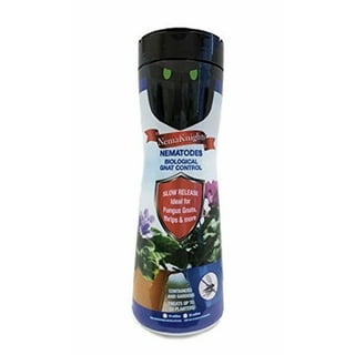  Environmental Factor 50 x 1 Million Benifical Nematodes  (S.feltiae) Pot Popper Pro Gnat & Thrip Control : Patio, Lawn & Garden