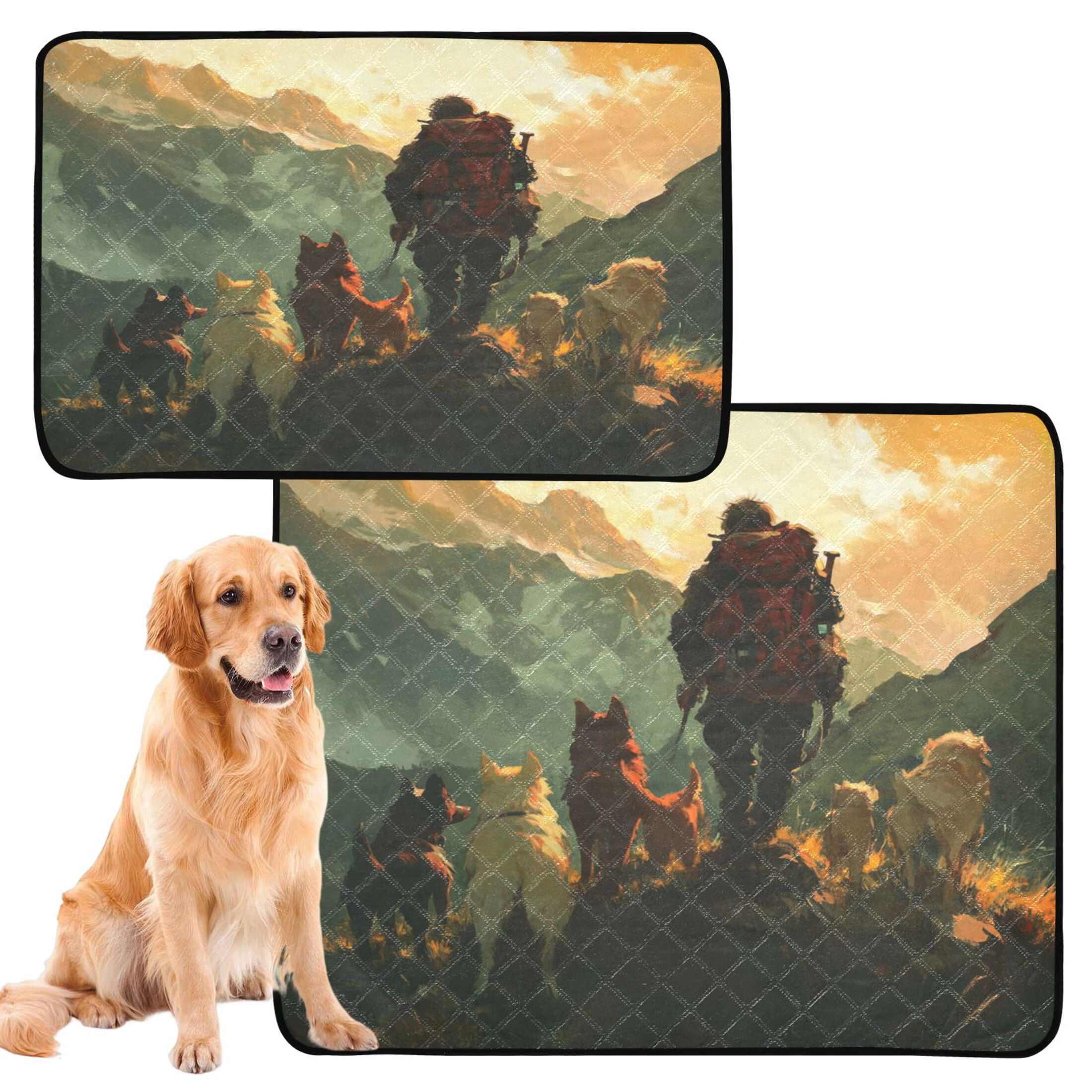 Qxltty Homeless Man and Dog Cat litter Pads Pet Set of 3 Diaper Mats Center Anti-leakage Layer Absorbent Soft and Comfortable