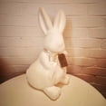 thumbnail image 2 of Lapin blanc floqué assis, 17po, par « Way to Celebrate », 2 of 6